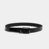 Ceinture Prionotes