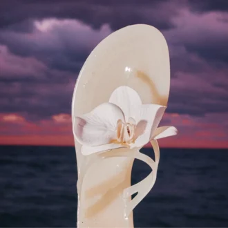 Sandale en plastique transparent Florrah
